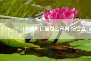 慈溪中国执行信息公开网 综合查询