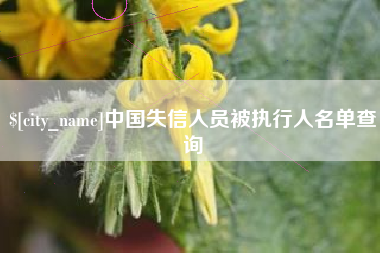 慈溪中国失信人员被执行人名单查询