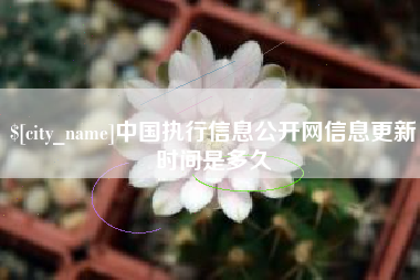 慈溪中国执行信息公开网信息更新时间是多久
