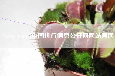 慈溪中国执行信息公开网网站官网