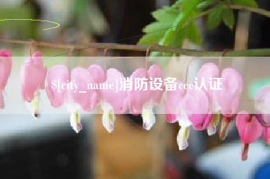 慈溪消防设备ccc认证