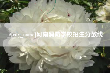 慈溪河南消防学校招生分数线