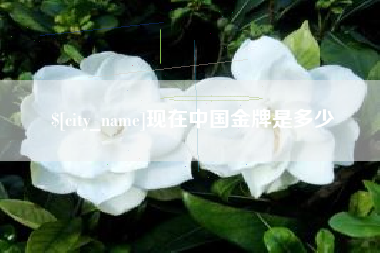 慈溪现在中国金牌是多少