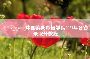 慈溪中国消防救援学院2021年各省录取分数线
