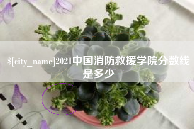 慈溪2021中国消防救援学院分数线是多少