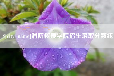 慈溪消防救援学院招生录取分数线