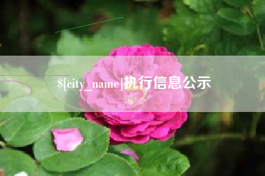 慈溪执行信息公示