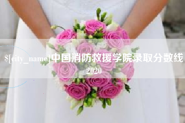 慈溪中国消防救援学院录取分数线2020
