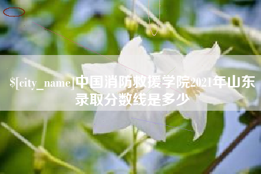 慈溪中国消防救援学院2021年山东录取分数线是多少