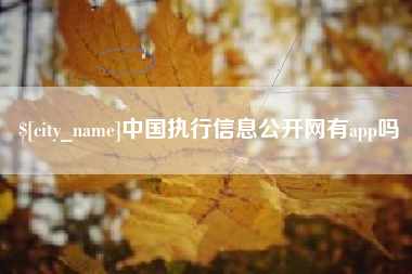 慈溪中国执行信息公开网有app吗