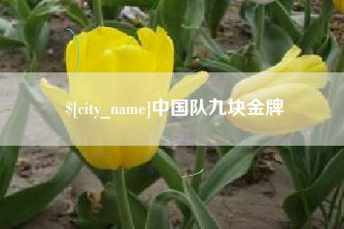 慈溪中国队九块金牌