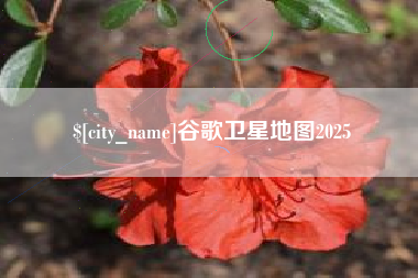 慈溪谷歌卫星地图2025