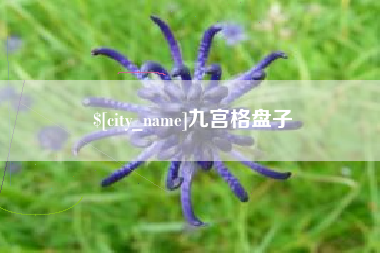 慈溪九宫格盘子