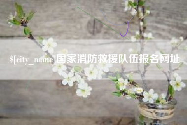 慈溪国家消防救援队伍报名网址