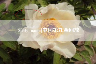 慈溪中国第九金回放