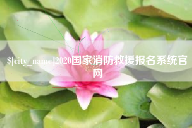 慈溪2020国家消防救援报名系统官网