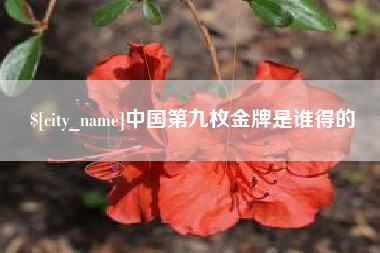 慈溪中国第九枚金牌是谁得的
