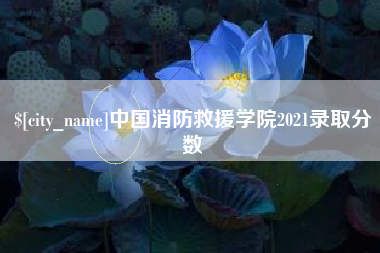 慈溪中国消防救援学院2021录取分数