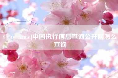 慈溪中国执行信息查询公开网怎么查询