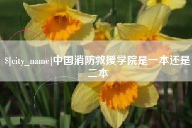 慈溪中国消防救援学院是一本还是二本