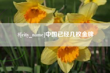慈溪中国已经几枚金牌