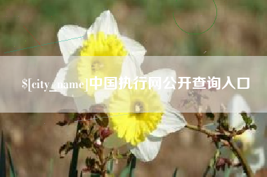 慈溪中国执行网公开查询入口