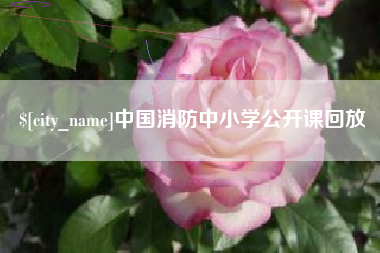慈溪中国消防中小学公开课回放