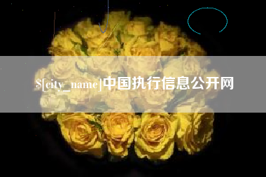 慈溪中国执行信息公开网