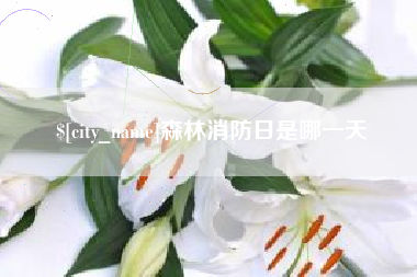 慈溪森林消防日是哪一天