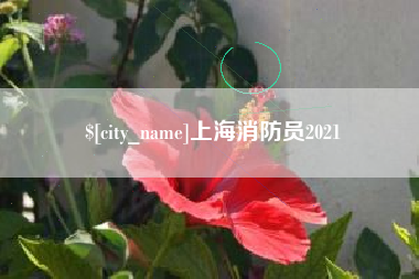 慈溪上海消防员2021