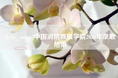 慈溪中国消防救援学院2020年录取结果