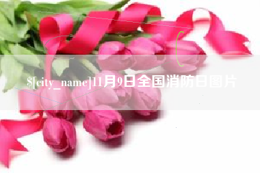 慈溪11月9日全国消防日图片