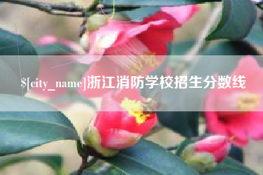 慈溪浙江消防学校招生分数线