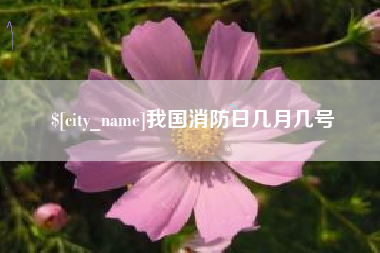 慈溪我国消防日几月几号