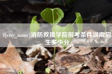 慈溪消防救援学院报考条件湖南招生多少分