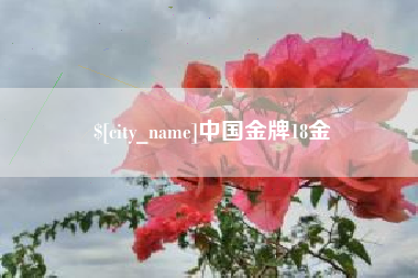 慈溪中国金牌18金