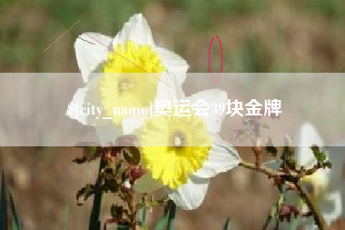 慈溪奥运会39块金牌