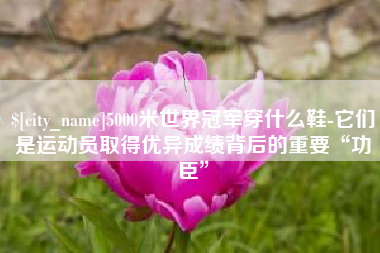 慈溪5000米世界冠军穿什么鞋-它们是运动员取得优异成绩背后的重要“功臣”