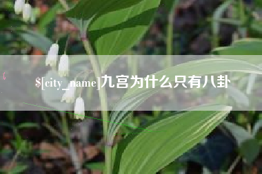 慈溪九宫为什么只有八卦