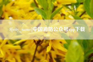 慈溪中国消防公众号app下载