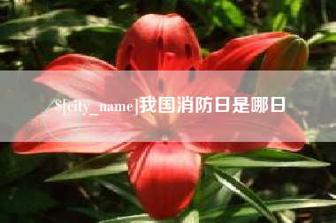 慈溪我国消防日是哪日