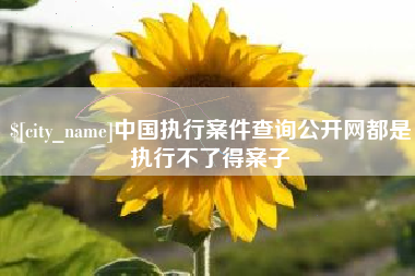 慈溪中国执行案件查询公开网都是执行不了得案子
