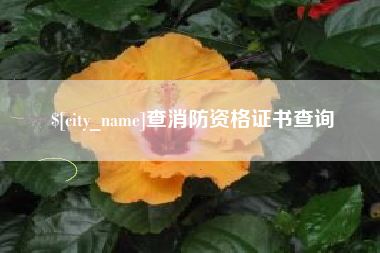 慈溪查消防资格证书查询