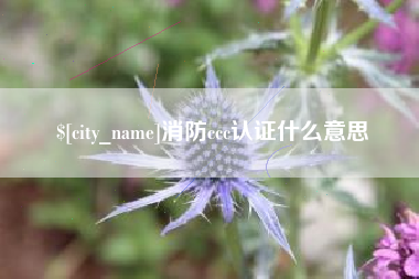 慈溪消防ccc认证什么意思
