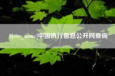 慈溪中国执行信息公开网查询