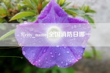 慈溪全国消防日哪一