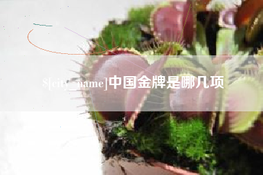 慈溪中国金牌是哪几项