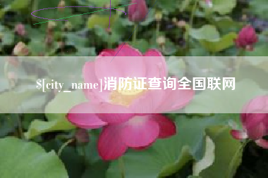 慈溪消防证查询全国联网