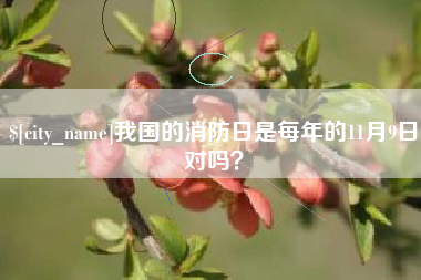 慈溪我国的消防日是每年的11月9日对吗？