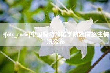 慈溪中国消防救援学院湖南招生情况公布